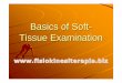 Basics of Soft- Tissue Examination - Fisiokinesiterapia · Basics of Soft Tissue Exam For practitioners who primarily use their hands to treat the human structure: ... Systemic lupus