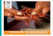 SEAFOOD AND THE MEDITERRANEAN - fishforward.eu · part of WWF’s EU co-funded Fish Forward Project. Fish Forward aims to raise awareness of the global impact of seafood choices made