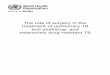 The role of surgery in the treatment of pulmonary TB and ... · TUBERCULOSIS, PULMONARY Address requests about publications of the WHO Regional Office for Europe to: Publications