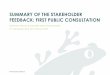 SUMMARY OF THE STAKEHOLDER FEEDBACK: FIRST PUBLIC … · COUNTRIES / HOW MANY PARTICIPANTS / STAKEHOLDER GROUPS) SUMMARY OF THE FEEDBACK AND OUTCOME 1) OVERALL FEEDBACK ON THE STRUCTURE