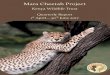 Mara Cheetah Project Mara Cheetah Project | Annual Report 2014 2017-07-13آ  Mara Cheetah Project | 2017