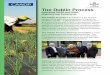 The Dublin Process...The Dublin Process is an initiative of the Compre- hensive Africa Agriculture Development Programme (CAADP), CGIAR -- a global research partnership for a food