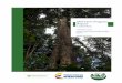 Mid-Term Progress Report Colombia · 2019-11-23 · Report Colombia January 2017 Forest Carbon Partnership Facility (FCPF) ... SIAC Sistema de Información Ambiental de Colombia 