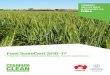 Food ScoreCard 2016–17 · Table 1: South Australia’s Food ScoreCard summary, 2016–17, $ million. Industry Farm gate value Finished food value Overseas exports Interstate exports