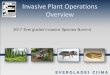 Invasive Plant Operations Overview - BugwoodCloud · Overview 2017 Everglades Invasive Species Summit. Everglades Cooperative Invasive ... 2016/2017 Newly Detected Plant Species Florida