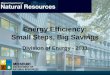 Energy Efficiency: Small Steps, Big Savingsclphs.health.mo.gov/worksitewellness/pdf/lnlenergyefficiency.pdf•10 steps you can take today. •Relevant Programs. •Questions. ... Promote