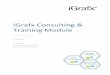 iGrafx Consulting & Training Module Service... · The Core Competencies and Consulting Services for Your Successful BPM Project Have access to this extensive knowledge and know-how