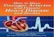 How to Have Younger Arteries - Vander Kraats & Associates · Prevent male impotence Increase weight loss and metabolism. Nitric oxide is the body’s own natural cardiovascular regulator
