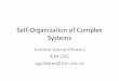 Self-Organization of Complex Systems - ACOIO · • Self-organization & synergetics: ó ì’s • Complex adaptive systems • Nonlinear dynamics • Boolean networks Complexity