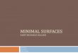 Minimal Surfacesweb.williams.edu/Mathematics/sjmiller/public_html... · Works Cited Brasz, Frederik. "Soap Films: Statics and Dynamics." (2010). Dao, Trong Thi., and A. T. Fomenko