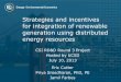 Strategies and incentives for integration of renewable ...€¦ · 10/07/2013  · integration of distributed generation is essential 8 . PROJECT APPROACH 9 . ... 15-minute power