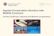 Applied Conservation Genetics with Wildlife Forensics · Masters Dissertation –Year 3 •Ex-situ conservation genetics of the Pancake Tortoise (Malacochersustornieri) •Sea turtle