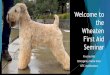 Welcome to the wheaten First Aid Seminar · 2. Gauze, non-stick bandages and adhesive tape Control bleeding and protect wounds. You can even use gauze as a makeshift muzzle if you