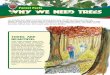 Forest Facts - Loudoun County Public Schoolsin forests, partly because people enjoy being among trees. Virginia’s State Forests are good places to experience the beauty and wonder