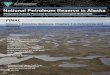 National Petroleum Reserve in Alaska€¦ · open to leasing, compared with Alternative A, to approximately 17.3 million acres (76 percent of the NPR-A’ssubsurfaceestate). AlternativeDwould
