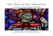 The Way of St.Columban€¦ · - the words of St. Columban - a brief reflection, - the Our Father. The nine steps conclude with: - the litany of St. Columban - prayers of intercession,