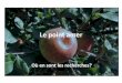 Le point amer - Mon site...Références FRUIT QUATERLY • Why is Honeycrisp so susceptible to bitter pit.Spring 2018. • Breeding Apple Rootstocks to Match Cultural and Nutrient