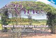 Sanders Ridge Winery Yadkin Valley Grape Festival ON ThE VINE 214 E. Main St., Elkin, NC 28621 On The