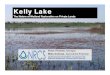 BrianThomas - Kelly Lake [Read-Only]ilrdss.isws.illinois.edu/pubs/govconf2005/session1b/Brian Thomas.pdf · Kelly Lake wetland restoration ... • Drainage district of 1170 acres