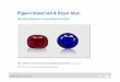 Pigeon blood red & Royal blue - SSEF · Royal blue criteria: Spectral criterion for “Royal blue”: - Blue of strong saturaon, either pure or with a very sligh t purplish :nt. -