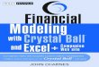 Financial Modeling with Crystal · Portfolio Models 132 Single-Period Crystal Ball Model 132 Single-Period Analytical Solution 134 ... in IFPS instead of working with Excel’s tabular