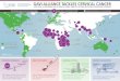 GAVI ALLIANCE TACKLES CERVICAL CANCER · HPV VACCINE PROGRAMMES COUNTRIES NATIONAL 10 30 SCALE: CERVICAL CANCER DEATHS PER 100,0001 Price achieved by GAVI: US$ 4.50 Current lowest