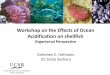 Workshop on the Effects of Ocean Acidification on shellfishftp.sccwrp.org/pub/download/OCEAN_ACIDIFICATION... · Workshop on the Effects of Ocean Acidification on shellfish Organismal