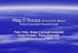 Reg D’Souza BPhil MCSP MBAcC Clinical Specialist ... · Myofascial Pain and Fibromyalgia Syndromes-A clinical guide to diagnosis and management. P. E. Baldry. 2001 Myofascial Pain