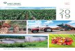 ANNUAL REPORT - Hap Seng Plantations · Jalan P. Ramlee 50250 Kuala Lumpur, Malaysia Date Wednesday, 1 July 2020 Time 10.00 a.m. ANNUAL GENERAL MEETING 13TH CORPORATE INFORMATION