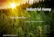 Industrial Hemp - GDI International Inc · 2020-02-17 · 2018's Bill legalized industrial Hemp and the production of Cannabidiol (CBD) oil from the hemp plants. Industrial hemp has