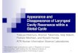 Appearance and Disappearance of Laryngeal Cavity Resonance ... 6 Simulation using transmission line