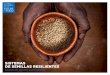 SISTEMAS DE SEMILLAS RESILIENTES · 2020-02-10 · Los sistemas de semillas resilientes son fundamentales para los sistemas alimentarios sostenibles, los cuales deben ser renovables,