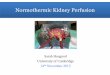 Normothermic Kidney Perfusion · ** P