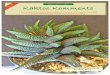Vol. 5, No. 2 March - April 2017 · 2017-03-05 · Cacti.com Water requirement ... with naming varieties; “instead, ... CULTIVATION/GROWTH: i have grown this plant with infrequent