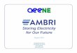 Storing Electricity for Our Future - AEE New England · 2015-09-10 · 19 Blackstone Street Cambridge, MA 02139 617.714.5723  Storing Electricity for Our Future August 2015