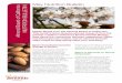 May Nutrition Bulletin Almond Board of ... - almonds.co.uk€¦ · almonds may have replaced fruit or salty empty-calorie foods in the diet. In all, the study suggests that almonds