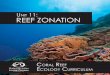u REEF ZONATION - Living Oceans Foundation ... fullest impact of wave energy. During low tide, reef