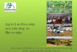 Agrobiodiversity monitoring in Bioversity€¦ · Participatory identification of Ecosystem Services in Zambia- Aquatic Agricultural System CRP - Natalia Estrada Carmona, F. Declerck