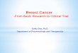 Breast Cancer - Cancer Treatment - Buffalo, NY · Carl Morrison 1, Jerry Fetterly , Schicha Kumar1, Helen Cappucino1 and Gokul Das1 Roswell Park Cancer Institute1 & Northwestern University