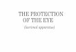 THE PROTECTION OF THE EYE (lacrimal apparatus) apparatus... · 2020-04-14 · The lacrimal apparatus consist of: •Secretory portion - lacrimal gland- excretory ducts- gll. lacrimales