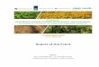 Report of the Event - Biobased Ukraine EN€¦ · Netherlands in Ukraine, State Agency for Energy Efficiency and Energy Saving of Ukraine (SAEE), Bioenergy Association of Ukraine