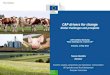 CAP drivers for change - Irish Farmers' Association...CAP drivers for change Global challenges and prospects COPA-COGECA Workshop "Main challenges for a future CAP" Brussels, 13 May
