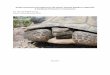 Health Assessment Procedures for the Desert Tortoise ... · 5/6/2011  · San Diego Zoo Safari Park ... veterinary medical terminology, are defined in the Glossary. ... conducted