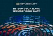 KNOW YOUR DATA SECURE YOUR DATA · data has di˜erent value and di˜erent levels of sensitivity. Knowing the di˜erence is di˜icult, understanding what data you have in realtime
