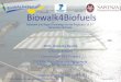 Biowalk4Biofuels - Formezeuropa.formez.it/sites/all/files/6-_presentazione... · Biowalk4Biofuels Dott. Roberto Renda Silvano Simoni Coordinator B4B Project DICMA- Dipartimento Ingegneria