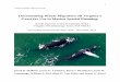 Documenting Whale Migration off Virginia’s Coast for Use ......One sighting of two ocean sunfish (Mola mola) was recorded in September. The conservation status of this species has