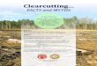 Clearcutting Facts and Myths - North Carolina …FACTS and MYTHS MYTH: Water quality is impaired by clearcutting. FACT: There are numerous laws and rules that require protection of