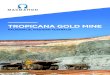 TROPICANA GOLD MINE - Macmahon Holdings · The Tropicana Gold Project is part of the joint venture between AngloGold Ashanti Australia Pty Ltd (70%) and Independence Group NL (30%)