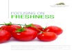 FOCUSING ON FRESHNESSfareastgroup.listedcompany.com/misc/ar2012/ar2012.pdf · segment is the main business segment in our business, consistently contributing more than 70% of the