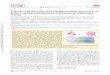 Engineered Mesenchymal Stem Cell/Nanomedicine Spheroid as ...orion.bme.columbia.edu/leonglab/publications/pdf/... · 11/21/2018  · KEYWORDS: Mesenchymal stem cell, nanomedicine,